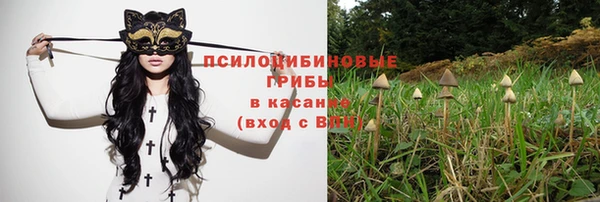 гашик Козловка