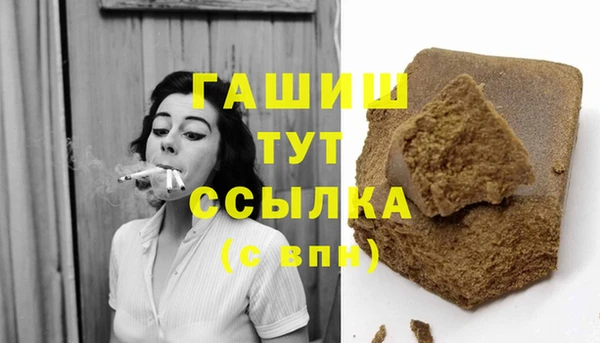 гашик Козловка