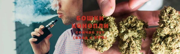 гашик Козловка